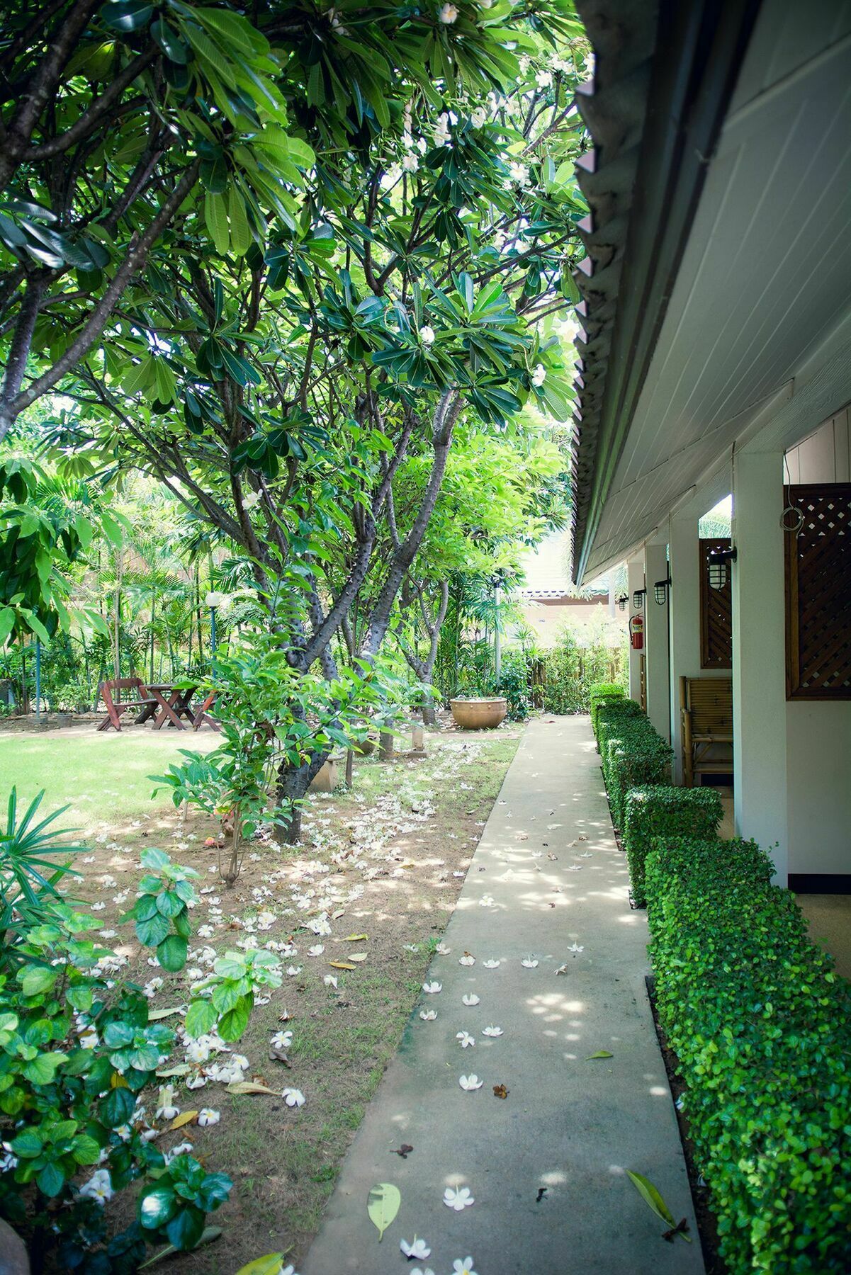 קנצ'נבורי The Nine Guest House מראה חיצוני תמונה